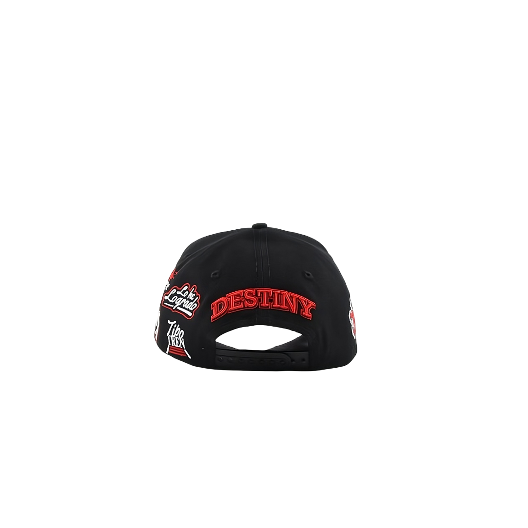 DESTINY X LOS NUEVOS REBELDES