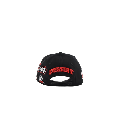 DESTINY X LOS NUEVOS REBELDES